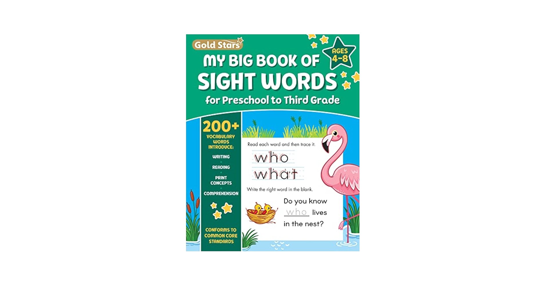 Gold Stars My BIG Book of Sight Words Activity Workbook